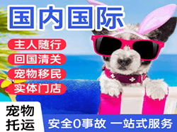 成都机场快递国际宠物托运 【国